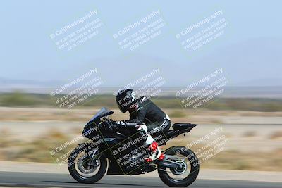 media/Apr-10-2022-SoCal Trackdays (Sun) [[f104b12566]]/Speed Shots Back Straight (930am)/